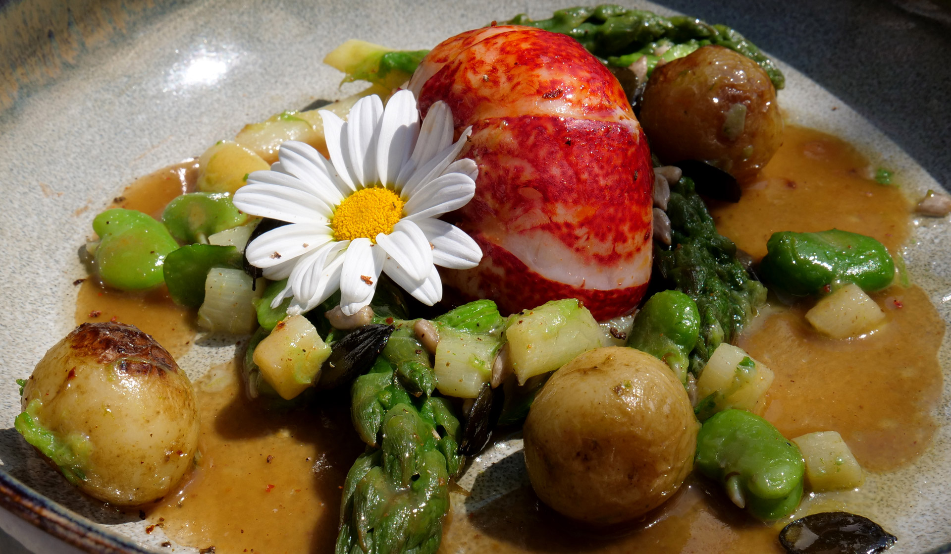 Saveurs de printemps au Grand Four, restaurant romantique à Noirmoutier. Sauté de homard, asperges vertes, fevettes, sirtena de Noirmoutier et réduction de jus de viande, fleur de marguerite comestible.
